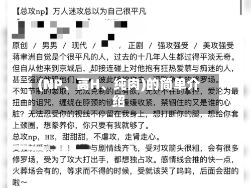 (NP、高H、纯肉)的简单介绍