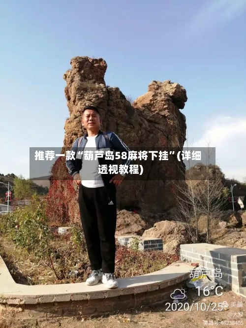 推荐一款“葫芦岛58麻将下挂”(详细透视教程)