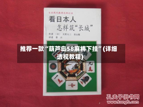 推荐一款“葫芦岛58麻将下挂	”(详细透视教程)-第2张图片