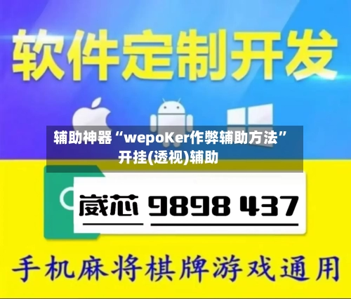 辅助神器“wepoKer作弊辅助方法”开挂(透视)辅助-第2张图片