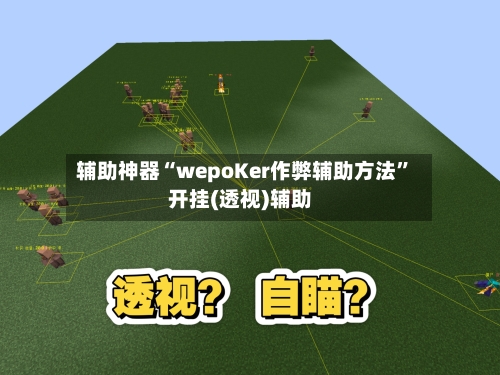 辅助神器“wepoKer作弊辅助方法”开挂(透视)辅助-第3张图片