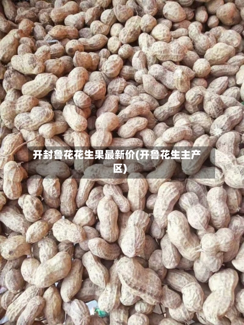 开封鲁花花生果最新价(开鲁花生主产区)-第2张图片