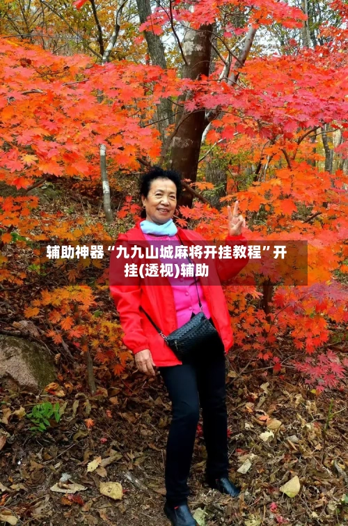 辅助神器“九九山城麻将开挂教程	”开挂(透视)辅助-第2张图片