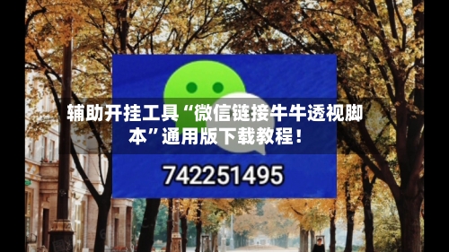 辅助开挂工具“微信链接牛牛透视脚本	”通用版下载教程！-第2张图片