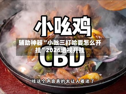 辅助神器“小吆三打哈要怎么开挂	”2026透视开挂-第2张图片