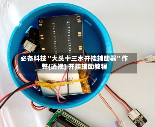 必备科技“大头十三水开挂辅助器	”作弊(透视) 开挂辅助教程-第2张图片