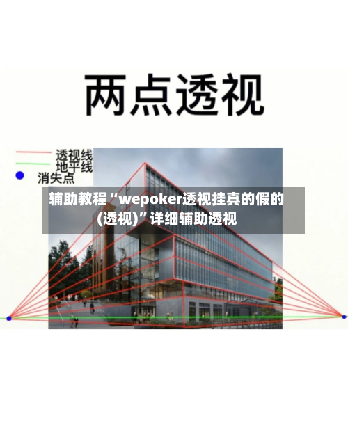 辅助教程“wepoker透视挂真的假的(透视)	”详细辅助透视-第2张图片