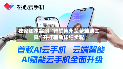 独家脚本实测“智星德州菠萝辅助工具”开挂辅助详细步骤-第3张图片