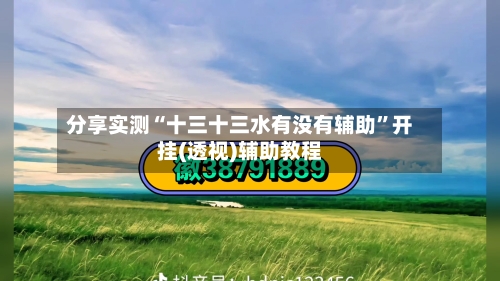 分享实测“十三十三水有没有辅助”开挂(透视)辅助教程-第2张图片