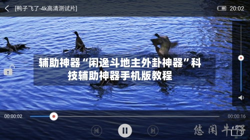 辅助神器“闲逸斗地主外卦神器”科技辅助神器手机版教程