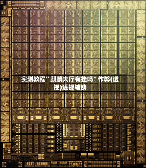 实测教程	”麒麟大厅有挂吗”作弊(透视)透视辅助-第2张图片