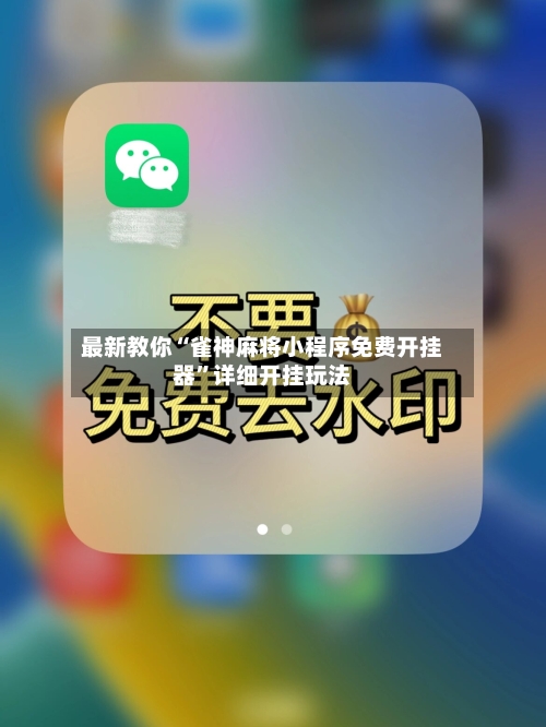 最新教你“雀神麻将小程序免费开挂器”详细开挂玩法-第3张图片