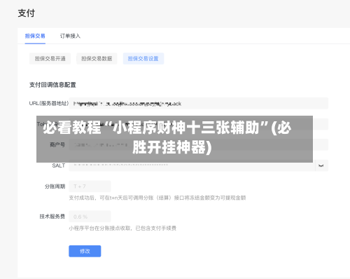 必看教程“小程序财神十三张辅助”(必胜开挂神器)-第2张图片
