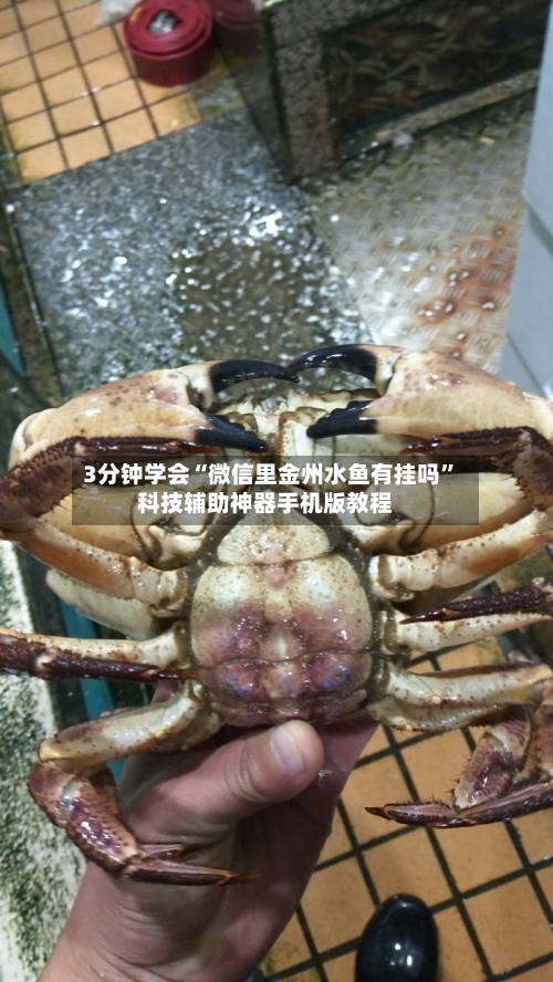 3分钟学会“微信里金州水鱼有挂吗”科技辅助神器手机版教程-第2张图片