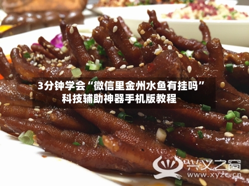 3分钟学会“微信里金州水鱼有挂吗”科技辅助神器手机版教程