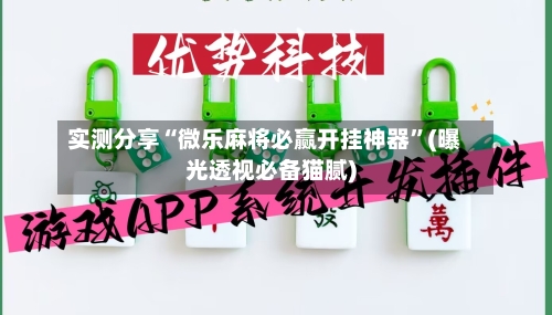 实测分享“微乐麻将必赢开挂神器”(曝光透视必备猫腻)-第3张图片