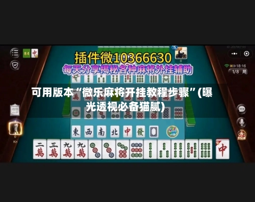 可用版本“微乐麻将开挂教程步骤	”(曝光透视必备猫腻)-第2张图片