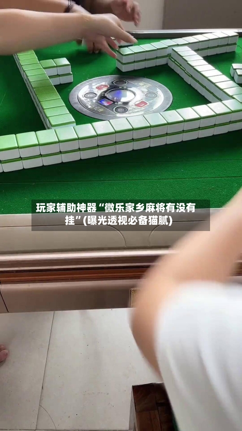 玩家辅助神器“微乐家乡麻将有没有挂	”(曝光透视必备猫腻)-第2张图片