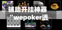 辅助开挂神器“wepoker透视挂付款保证金”详细分享装挂步骤教程-第2张图片