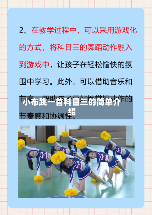 小布跳一首科目三的简单介绍-第2张图片