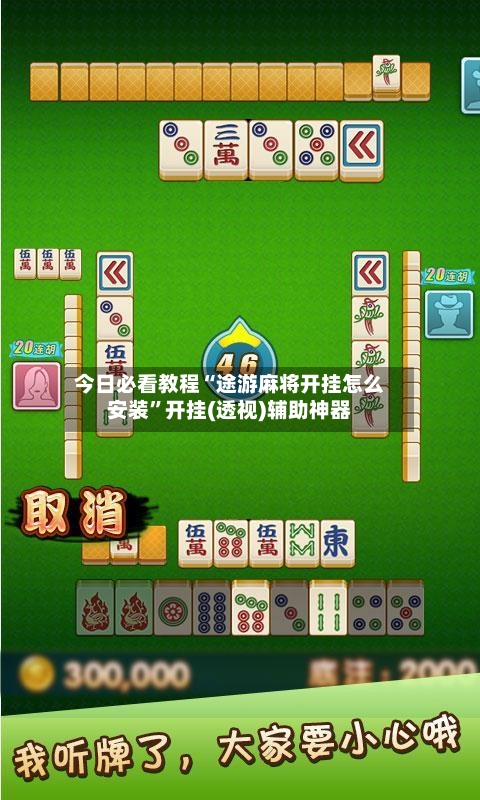 今日必看教程“途游麻将开挂怎么安装	”开挂(透视)辅助神器-第2张图片