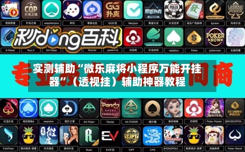 实测辅助“微乐麻将小程序万能开挂器”（透视挂）辅助神器教程-第3张图片