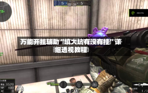 万能开挂辅助“填大坑有没有挂	”详细透视教程-第2张图片