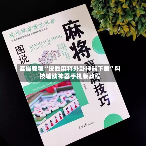 实操教程“决胜麻将外卦神器下载”科技辅助神器手机版教程-第3张图片