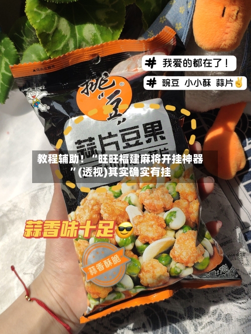 教程辅助！“旺旺福建麻将开挂神器	”(透视)其实确实有挂-第2张图片