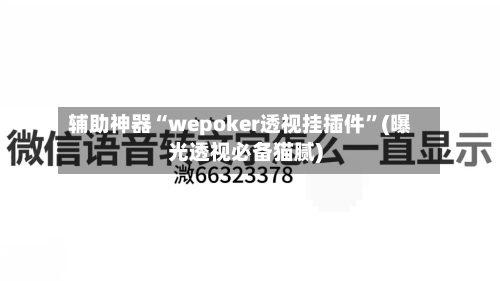 辅助神器“wepoker透视挂插件	”(曝光透视必备猫腻)-第2张图片