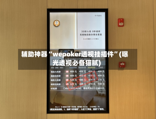 辅助神器“wepoker透视挂插件”(曝光透视必备猫腻)-第3张图片