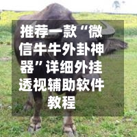 推荐一款“微信牛牛外卦神器”详细外挂透视辅助软件教程-第2张图片