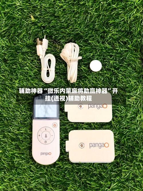 辅助神器“微乐内蒙麻将助赢神器”开挂(透视)辅助教程-第3张图片