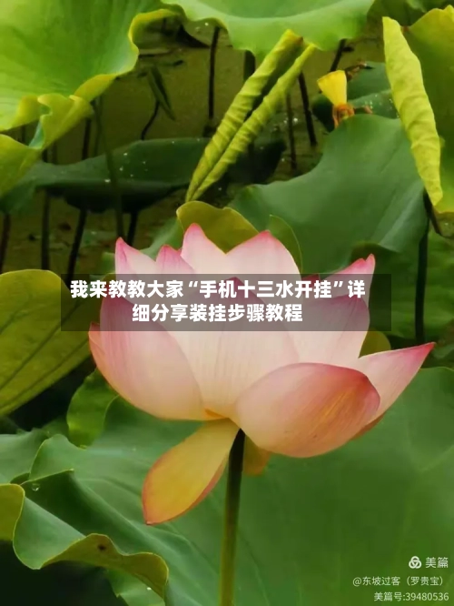 我来教教大家“手机十三水开挂	”详细分享装挂步骤教程-第3张图片