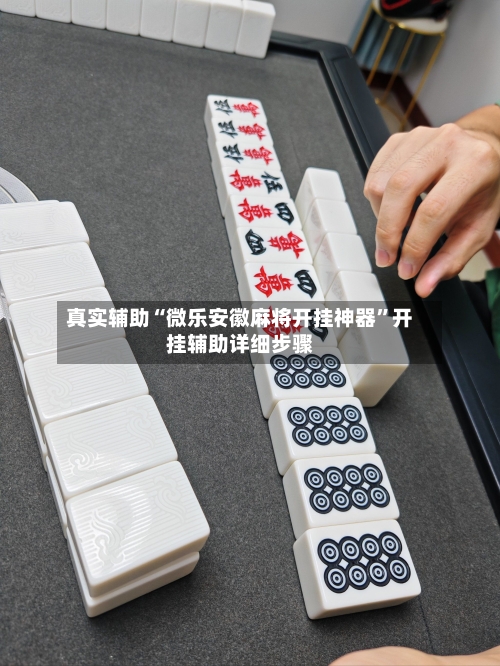 真实辅助“微乐安徽麻将开挂神器”开挂辅助详细步骤-第3张图片