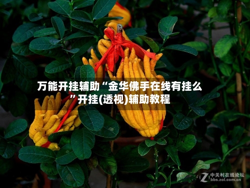 万能开挂辅助“金华佛手在线有挂么”开挂(透视)辅助教程-第2张图片