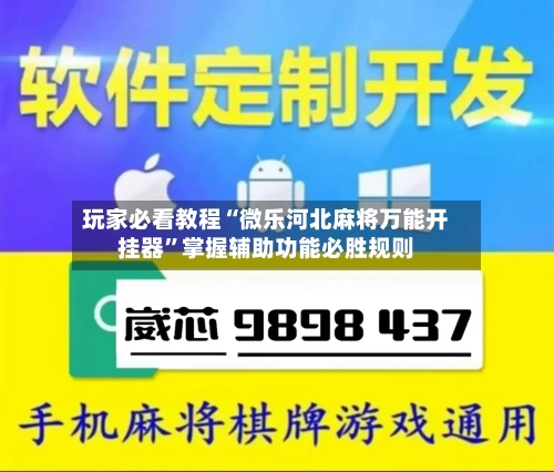 玩家必看教程“微乐河北麻将万能开挂器”掌握辅助功能必胜规则-第2张图片