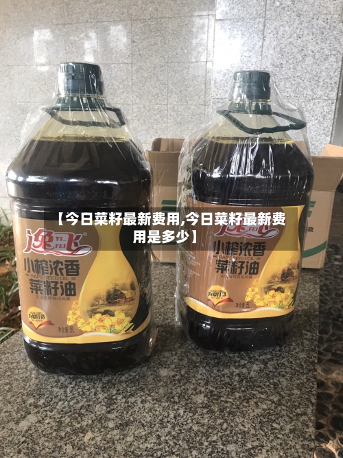 【今日菜籽最新费用,今日菜籽最新费用是多少】
