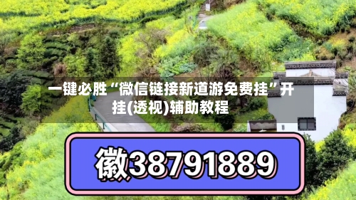 一键必胜“微信链接新道游免费挂”开挂(透视)辅助教程-第3张图片