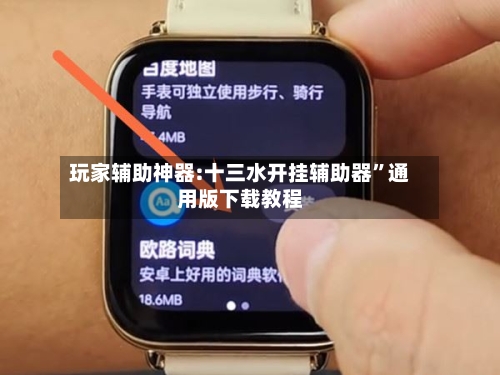 玩家辅助神器:十三水开挂辅助器”通用版下载教程-第2张图片