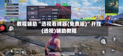 教程辅助“透视看牌器(免费版)	”开挂(透视)辅助教程-第2张图片