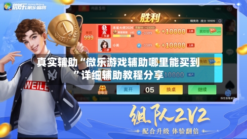 真实辅助“微乐游戏辅助哪里能买到”详细辅助教程分享-第2张图片