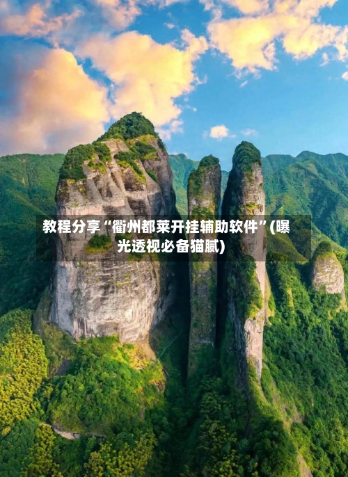 教程分享“衢州都莱开挂辅助软件	”(曝光透视必备猫腻)-第2张图片