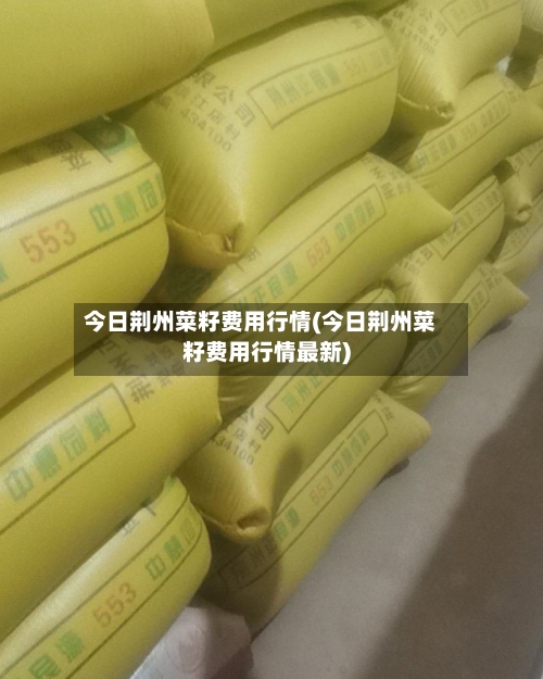 今日荆州菜籽费用行情(今日荆州菜籽费用行情最新)-第2张图片