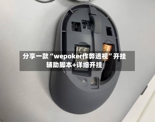 分享一款“wepoker作弊透视”开挂辅助脚本+详细开挂-第2张图片