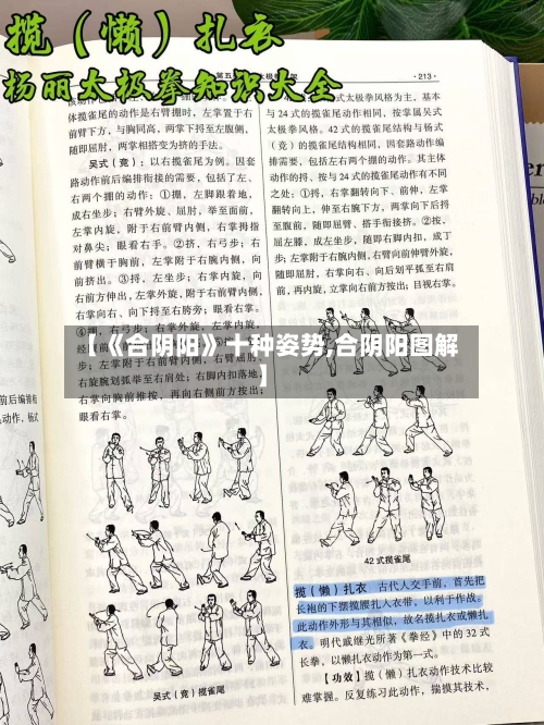 【《合阴阳》十种姿势,合阴阳图解】