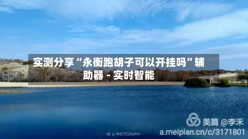 实测分享“永衡跑胡子可以开挂吗	”辅助器 - 实时智能-第2张图片