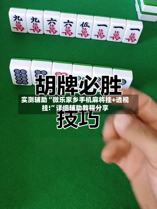 实测辅助“微乐家乡手机麻将挂+透视挂!”详细辅助教程分享-第3张图片