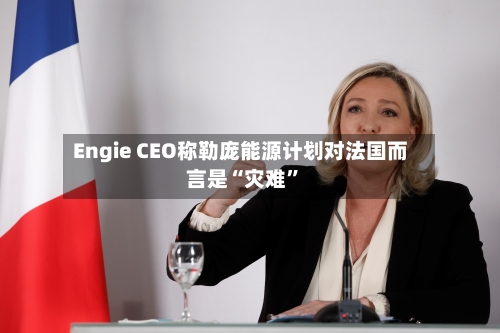 Engie CEO称勒庞能源计划对法国而言是“灾难”-第2张图片