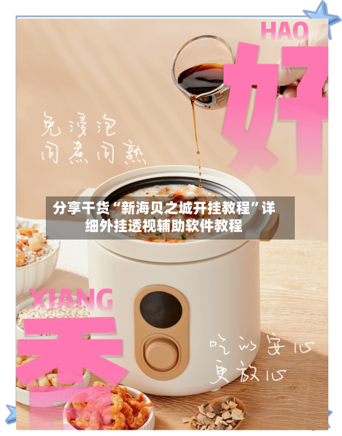 分享干货“新海贝之城开挂教程	”详细外挂透视辅助软件教程-第2张图片